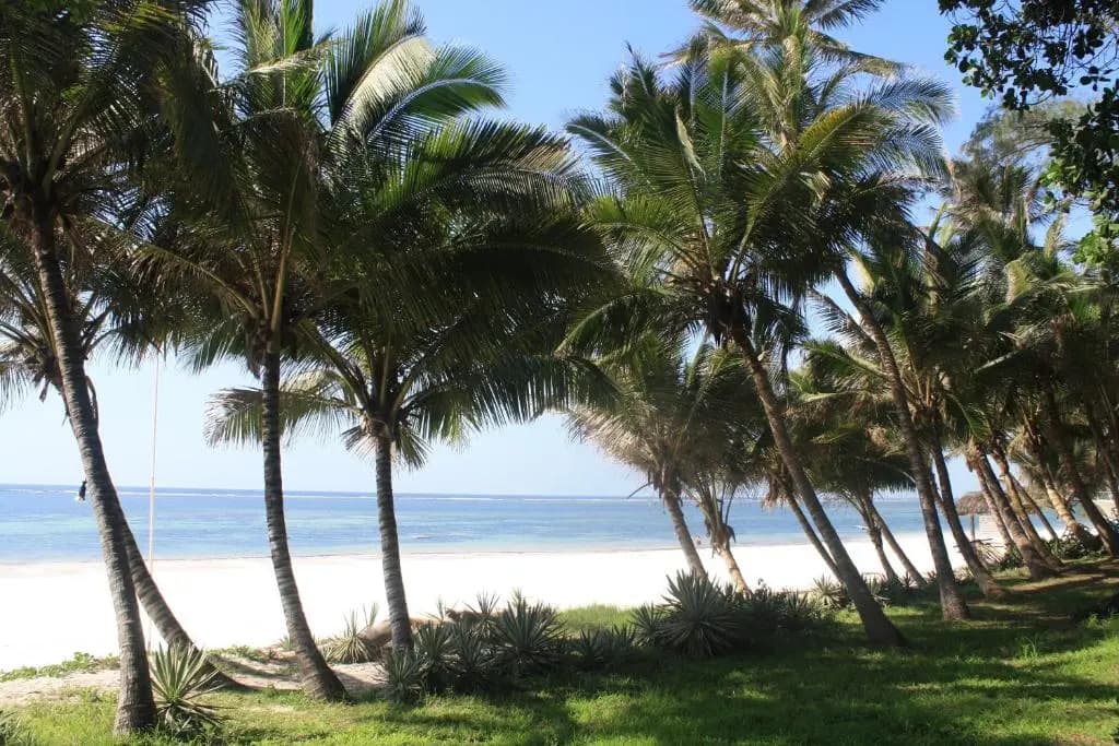 Diani Marine - P.O. Box 340 Ukunda,, Msambweni
