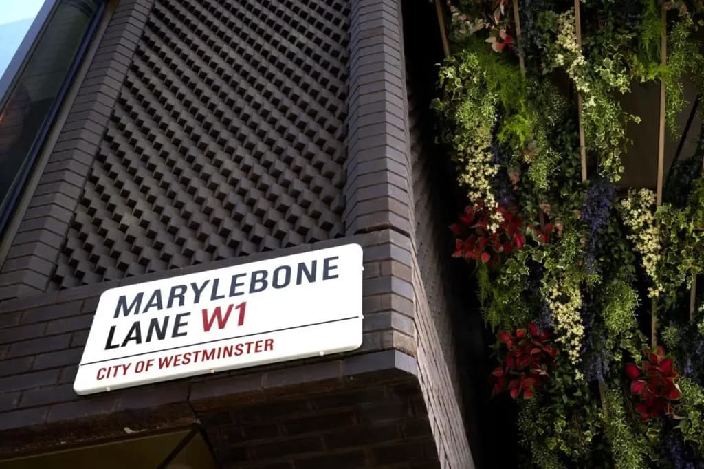 The BoTree - 30 Marylebone Lane, Westminster, Londra