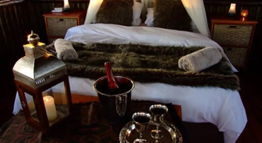 Bushwa Game Lodge - R33 Waterberg, Vaalwater, South Africa,530, Vaalwater