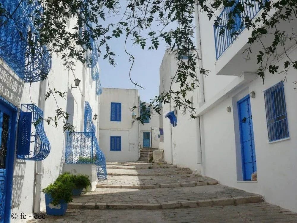 Maison Dedine - Adults Only - 3, Rue Kennedy, Tunisi