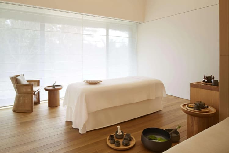 Amanemu - foto 3