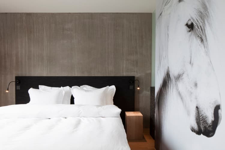 ION Adventure Hotel, Nesjavellir, a Member of Design Hotels - foto 5