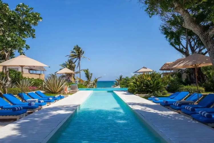 Medina Palms - foto 2