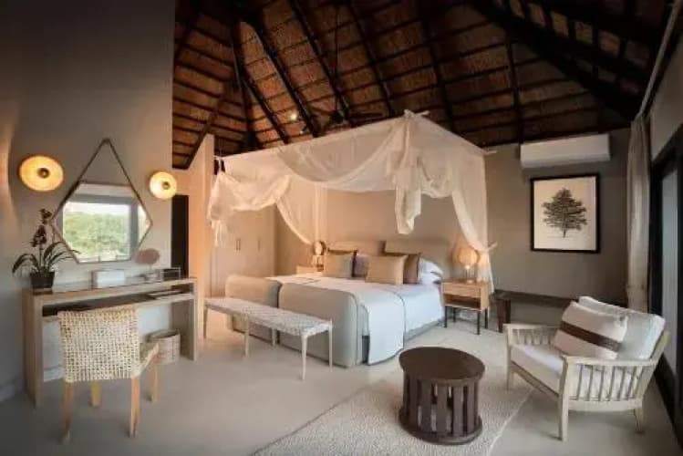Lion Sands Game Reserve - foto 3