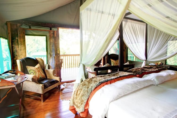 Botlierskop Private Game Reserve - foto 1