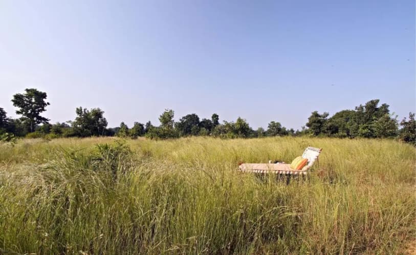 Samode Safari Lodge - foto 6