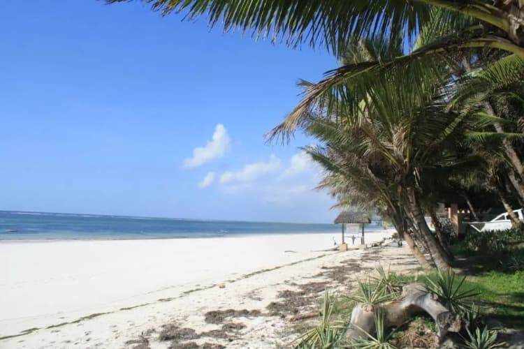 Diani Marine - foto 2