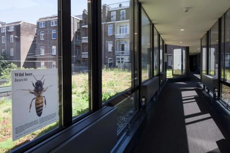 Conscious Hotel Vondelpark - foto 6