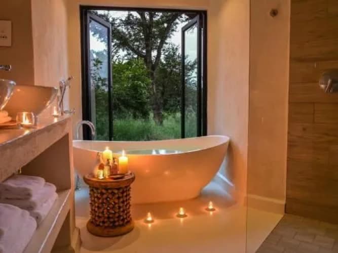 Lion Sands Game Reserve - foto 6
