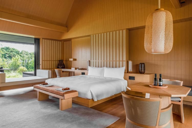 Amanemu - foto 2