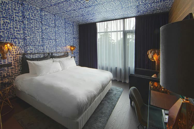 Apollo Hotel Amsterdam, a Tribute Portfolio Hotel - foto 3