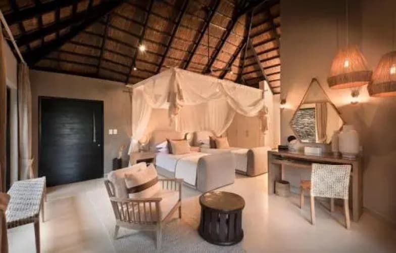 Lion Sands Game Reserve - foto 5