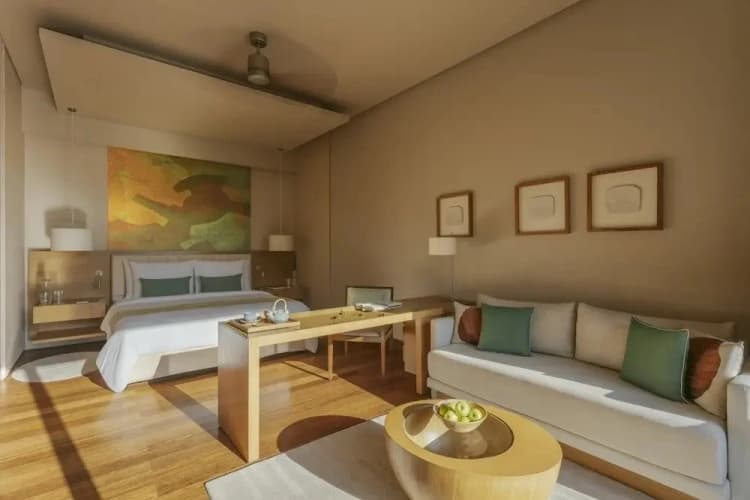 Six Senses Vana - foto 1