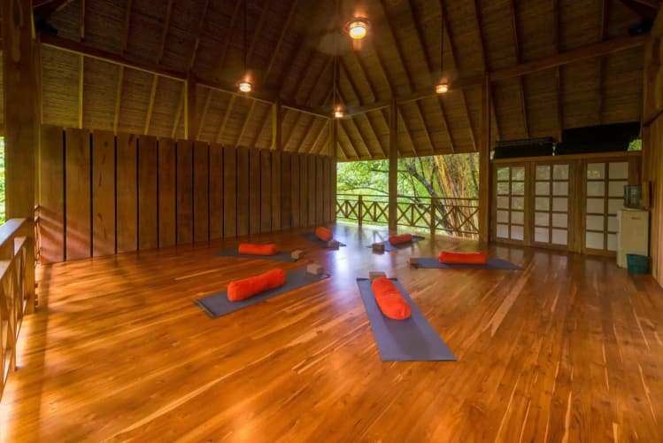 Bodhi Tree Yoga Resort - foto 3