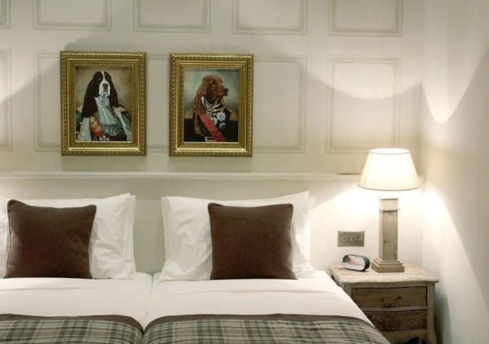 The Grafton Arms Pub & Rooms - foto 4