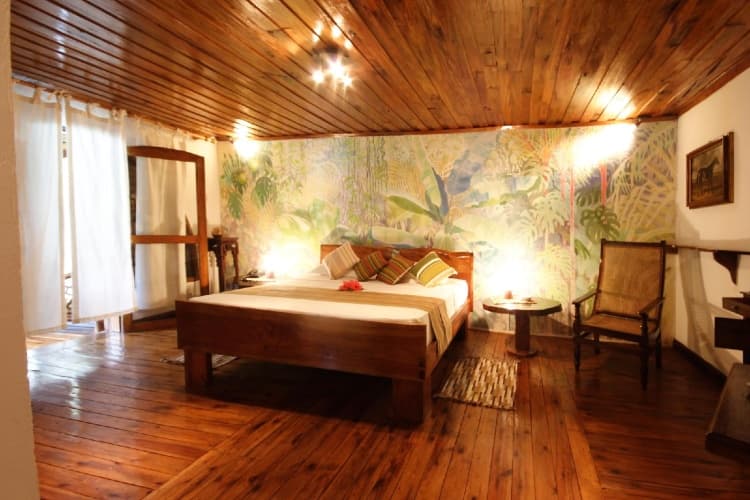 Chauve Souris Relais - foto 1