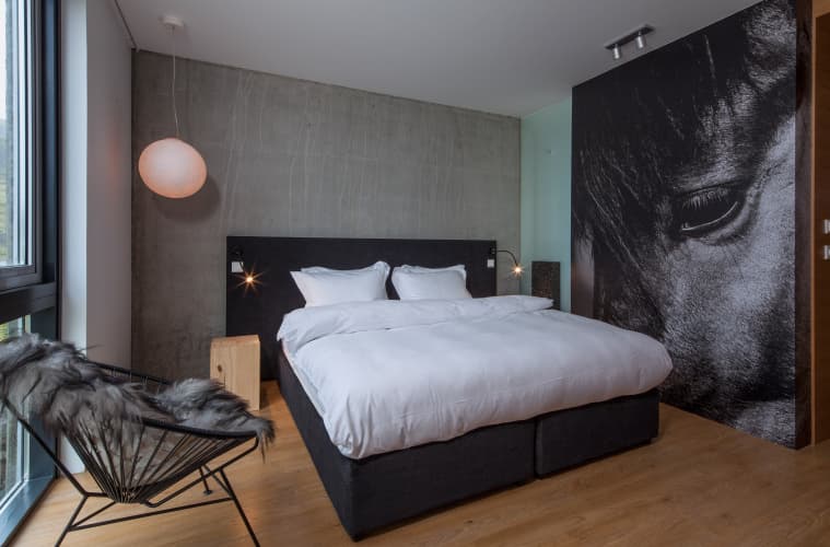 ION Adventure Hotel, Nesjavellir, a Member of Design Hotels - foto 6