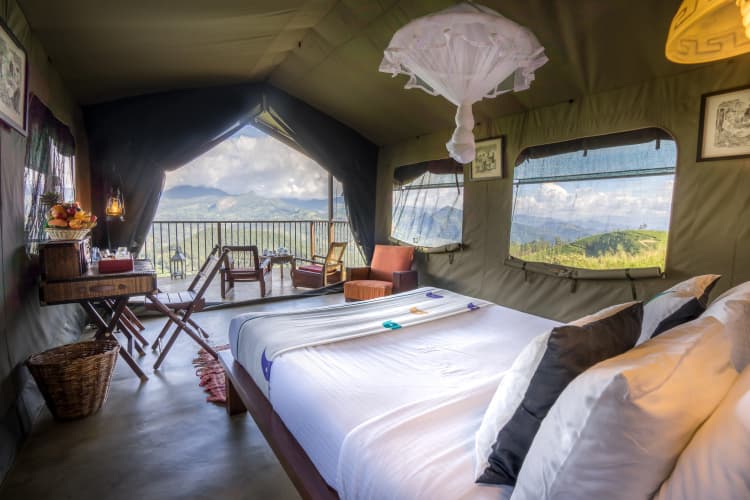 Madulkelle Tea and Eco Lodge - foto 6