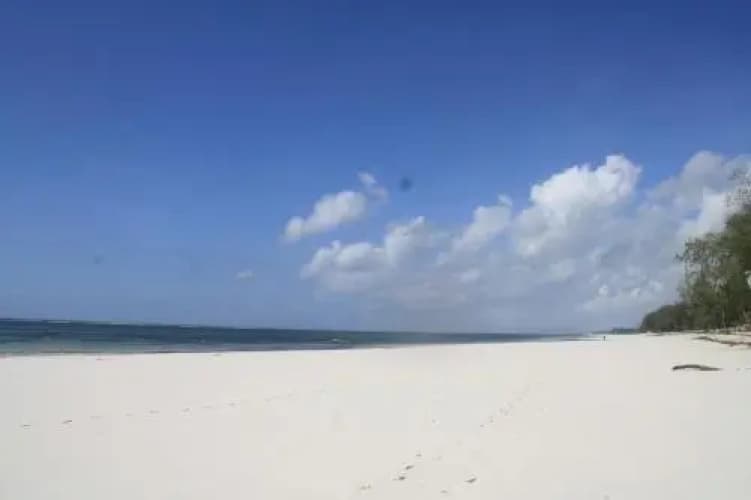 Diani Marine - foto 4