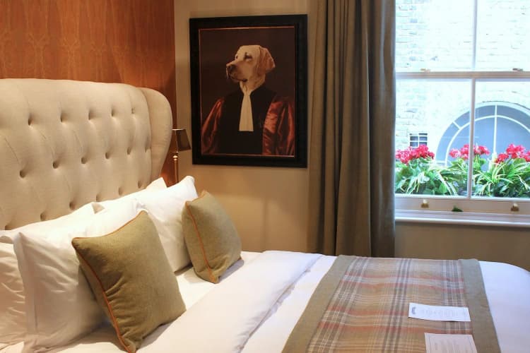The Hayden Pub & Rooms - foto 2