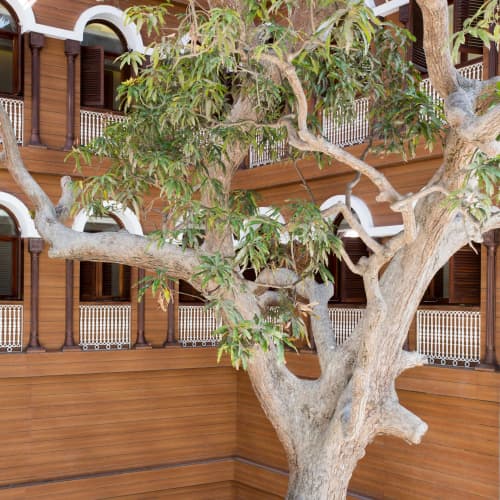 Park Hyatt Zanzibar - foto 1