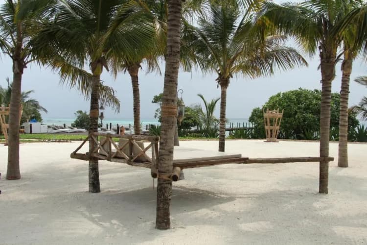 Fruit & Spice Wellness Resort Zanzibar - foto 6
