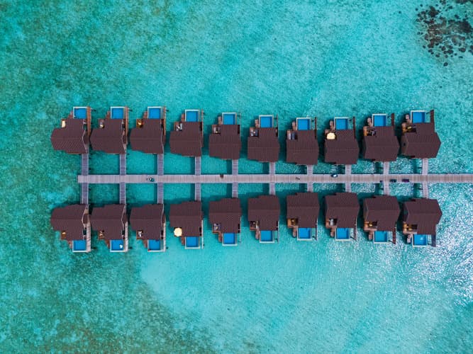 Dhigufaru Island Resort - foto 1
