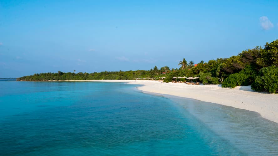 The Barefoot Eco Hotel - foto 1