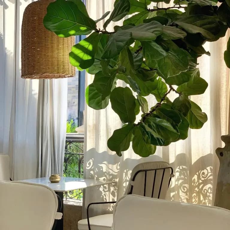 Sakkan - 43 Rue Sidi Yamani, Mouassine, Medina, Medina, 44000 Marrakesh, Morocco, Marrakech