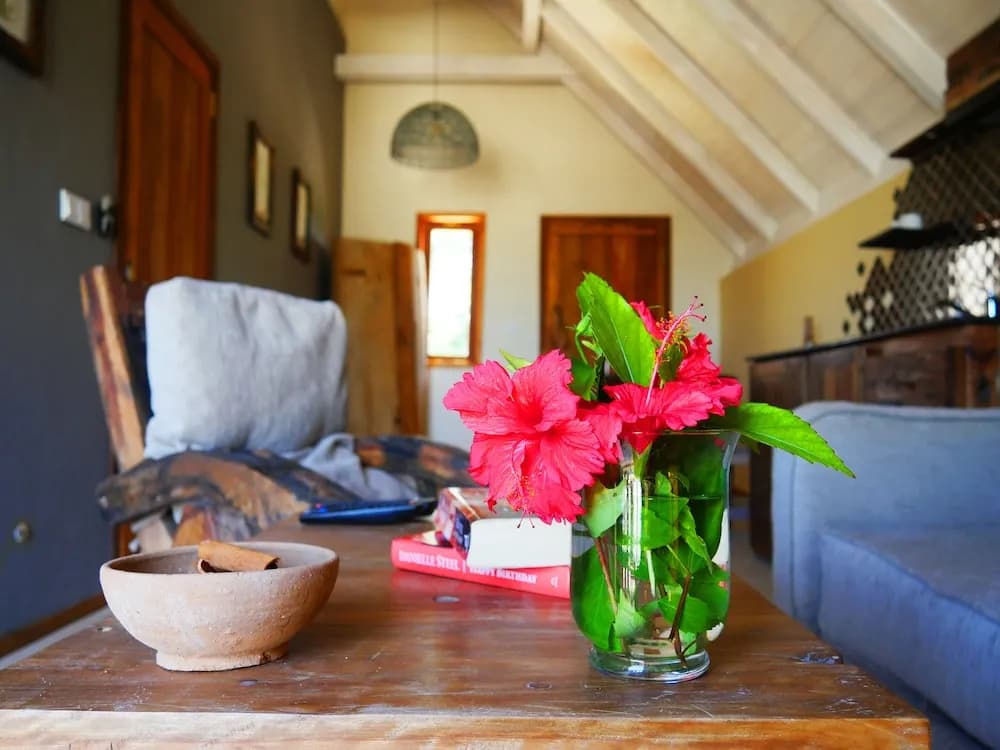 Clove Island Villas & Spa - Makunduchi Zanzibar , PO BOX 2401, Makunduchi, Tanzania, Makunduchi