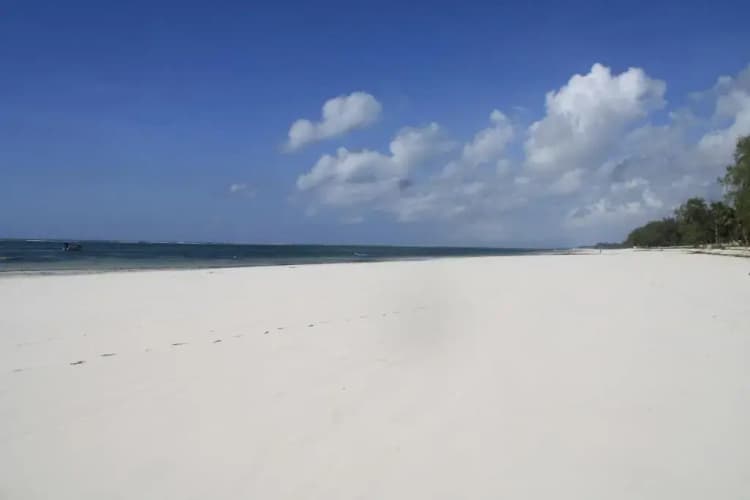 Diani Marine - foto 3