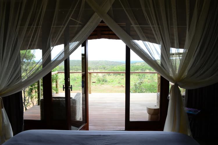 Mhondoro Safari Lodge & Villa - foto 1