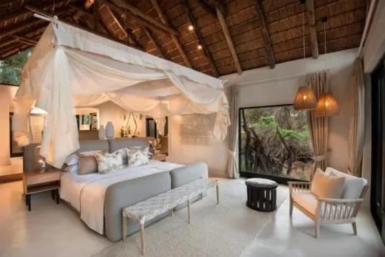Lion Sands Game Reserve - foto 1