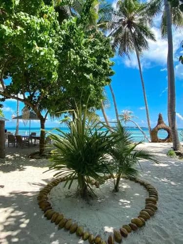 Samura Maldives Guest House - foto 3