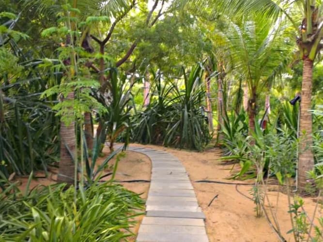 The Dune Eco Beach Village and Spa - foto 3