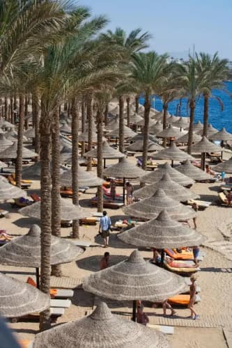 The Grand Hotel Sharm El Sheikh - foto 6