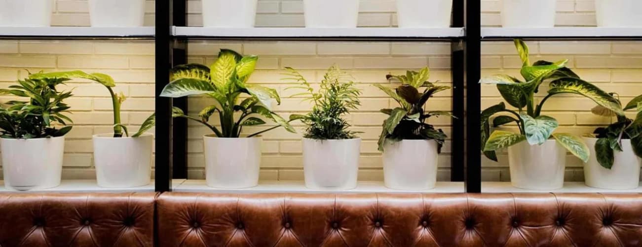 Hotel Praktik Bakery - foto 1