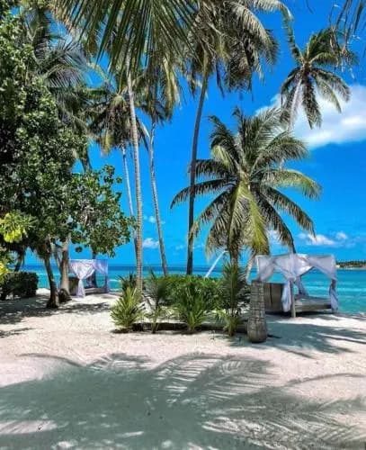 Samura Maldives Guest House - foto 4